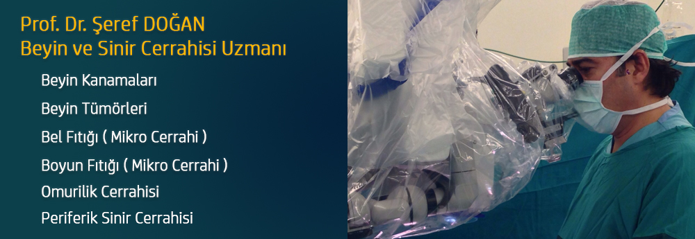 Beyin ve Sinir Cerrahisi Uzmanı - Prof. Dr. Şeref DOĞAN